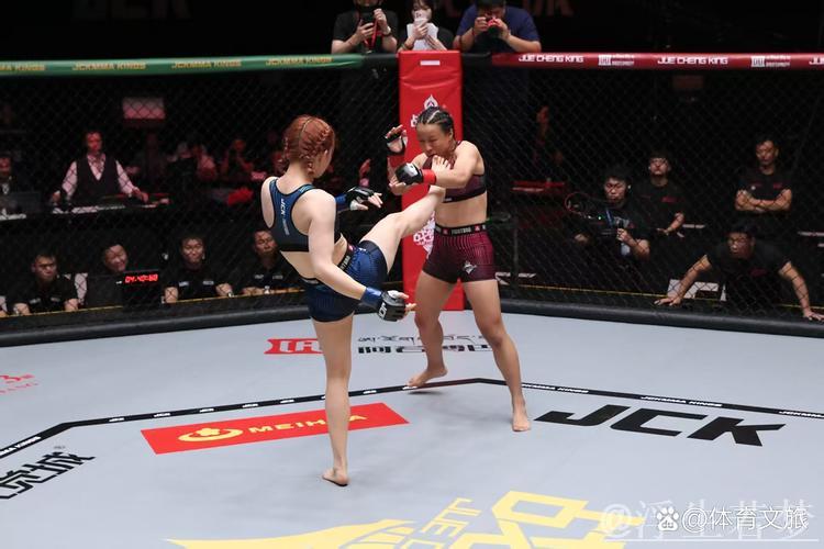 强尼袭击卫冕冠军伊利亚,卡梅罗挺身救场 强尼袭击卫冕冠军伊利亚,卡梅罗挺身救场